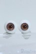 画像1: 14mm/グラスアイ Y-25-05-07-166-YD-ZY (1)
