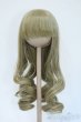 画像1: 8-9inch/ウィッグ Y-25-05-07-265-YD-ZY (1)