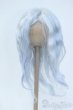 画像1: 8-9inch/ウィッグ Y-25-05-14-013-YD-ZY (1)