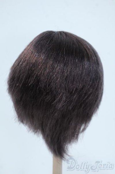 画像2: 8-9inch/ウィッグ Y-25-05-14-036-YD-ZY (2)