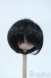 画像1: 8inch/ウィッグ Y-25-05-14-225-YD-ZY (1)