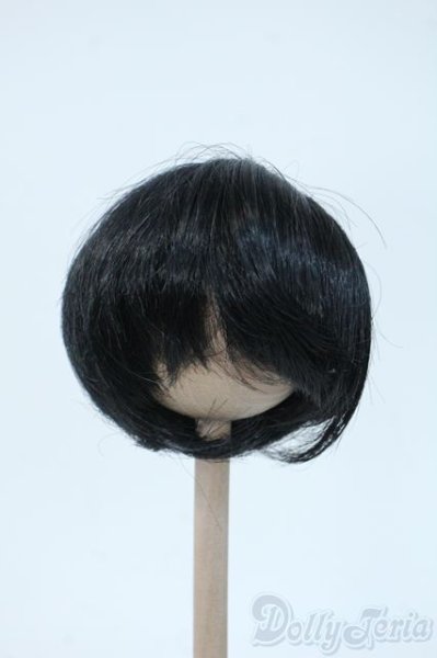 画像1: 8inch/ウィッグ Y-25-05-14-225-YD-ZY (1)