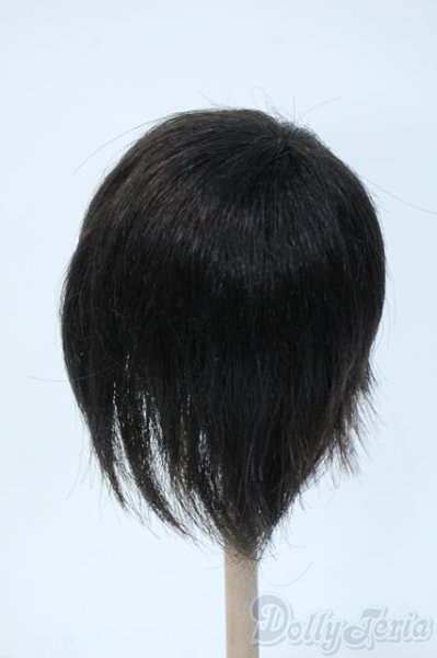 画像2: 8inch/ウィッグ Y-25-05-14-223-YD-ZY (2)
