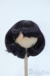 画像1: 9-10inch/ウィッグ Y-25-05-14-228-YD-ZY (1)