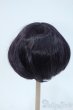 画像2: 9-10inch/ウィッグ Y-25-05-14-228-YD-ZY (2)