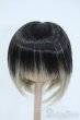 画像1: 8-9inch/ウィッグ Y-25-05-21-059-YD-ZY (1)