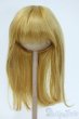 画像1: 9-10inch/ウィッグ Y-25-05-21-109-TN-ZY (1)