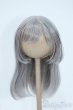 画像1: 8-9inch/ウィッグ Y-25-05-21-162-YD-ZY (1)