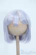 画像1: 8-9inch/ウィッグ Y-25-05-21-163-YD-ZY (1)