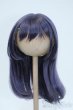 画像1: 8-9inch/ウィッグ Y-25-05-21-164-YD-ZY (1)
