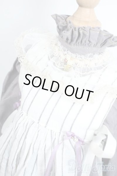 画像2: SD/OF:ドレスセット(ハチドリの森様) Y-25-05-21-153-YD-ZY (2)