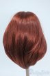 画像2: 9-10inch/ウィッグ Y-25-05-28-060-YD-ZY (2)