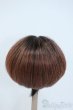 画像2: 9-10inch/ウィッグ Y-25-05-28-070-YD-ZY (2)