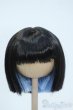 画像1: 8-9inch/ウィッグ Y-25-05-28-058-YD-ZY (1)