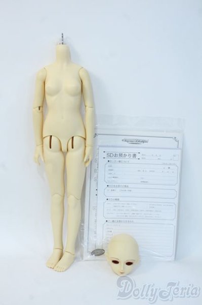 画像1: SD女の子/F-10　一体型ボディ Y-25-05-28-166-YD-ZY (1)