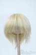 画像1: 7-8inch/ウィッグ Y-25-05-28-137-YD-ZY (1)