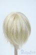 画像2: 7-8inch/ウィッグ Y-25-05-28-137-YD-ZY (2)