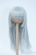 画像1: 6-7inch/ウィッグ Y-25-05-28-281-YD-ZY (1)