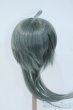 画像2: 8〜9inch/ウィッグ：みさんとるーぷ様製ウルフロング Y-25-06-04-006-YD-ZY (2)