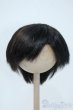 画像1: 9-10inch/ウィッグ Y-25-06-04-062-YD-ZY (1)
