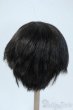 画像2: 9-10inch/ウィッグ Y-25-06-04-062-YD-ZY (2)