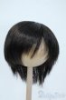画像1: 9-10inch/ウィッグ Y-25-06-04-063-YD-ZY (1)