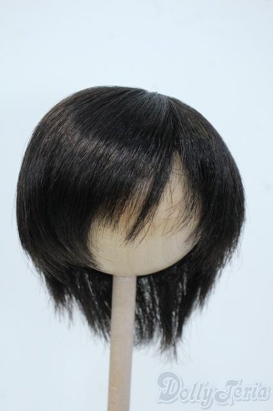画像1: 9-10inch/ウィッグ Y-25-06-04-063-YD-ZY (1)