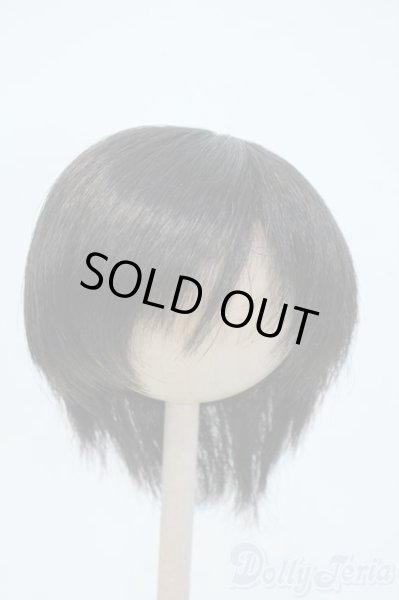 画像1: 9-10inch/ウィッグ Y-25-06-04-063-YD-ZY (1)