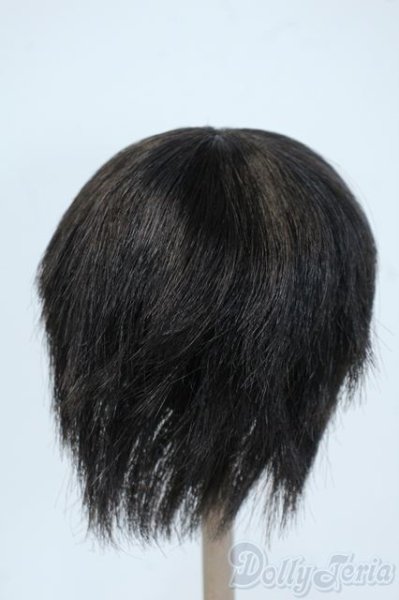 画像2: 9-10inch/ウィッグ Y-25-06-04-063-YD-ZY (2)