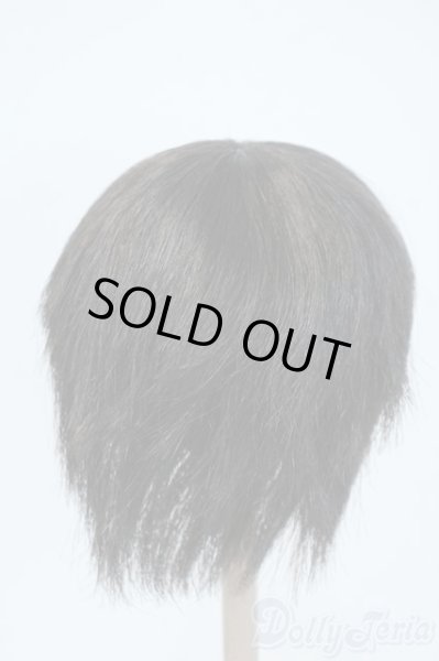 画像2: 9-10inch/ウィッグ Y-25-06-04-063-YD-ZY (2)