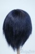 画像2: 9-10inch/ウィッグ Y-25-06-04-064-YD-ZY (2)