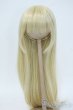 画像1: 9-10inch/ウィッグ Y-25-06-04-070-YD-ZY (1)