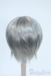 画像2: 6-7inch/ウィッグ Y-25-06-11-069-YD-ZY (2)