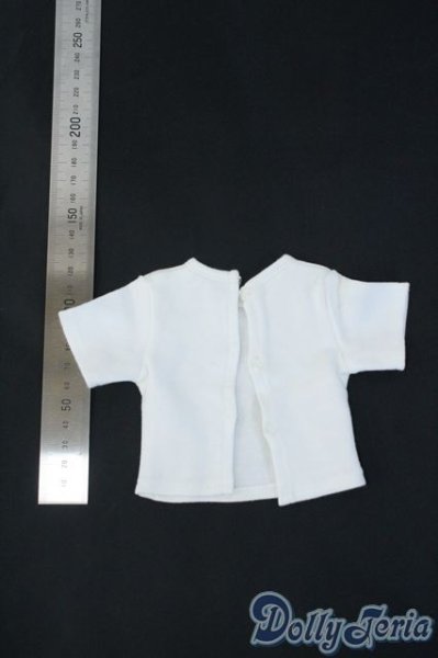 画像2: SD/OF:トップス Y-25-06-11-138-YD-ZY (2)