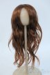 画像1: 9-10inch/ウィッグ Y-25-06-11-130-YD-ZY (1)