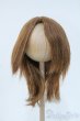画像1: 9-10inch/ウィッグ Y-25-06-11-131-YD-ZY (1)