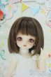 画像1: 幼SD女の子/まい 幼SD生誕15周年記念Ver. Y-25-06-18-122-YD-ZY (1)