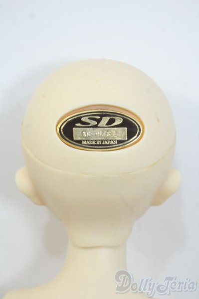 画像7: SDMBOY/F-31:コーディネートモデル Y-25-06-18-123-YD-ZY (7)