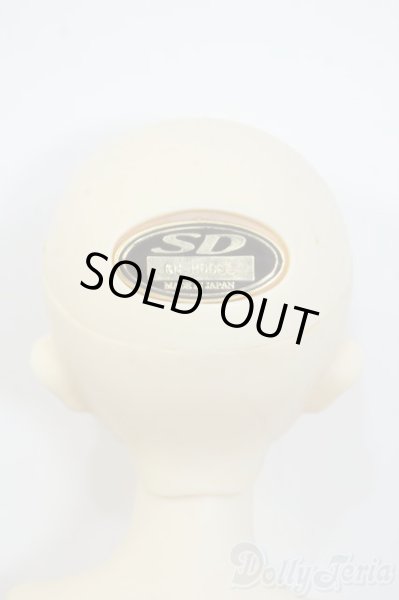 画像7: SDMBOY/F-31：コーディネートモデル Y-25-06-18-123-YD-ZY (7)