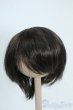 画像1: 7-8inch/ウィッグ Y-25-06-18-139-YD-ZY (1)