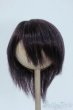 画像1: 8-9inch/ウィッグ Y-25-06-25-077-YD-ZY (1)