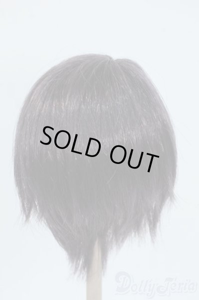 画像2: 8-9inch/ウィッグ Y-25-06-25-077-YD-ZY (2)