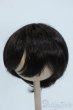画像1: 8-9inch/ウィッグ Y-25-06-25-080-YD-ZY (1)