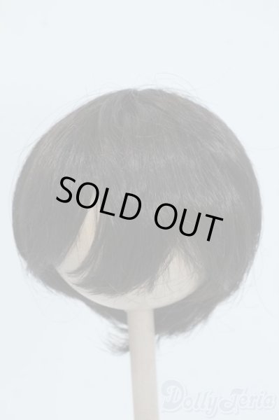 画像1: 8-9inch/ウィッグ Y-25-06-25-080-YD-ZY (1)