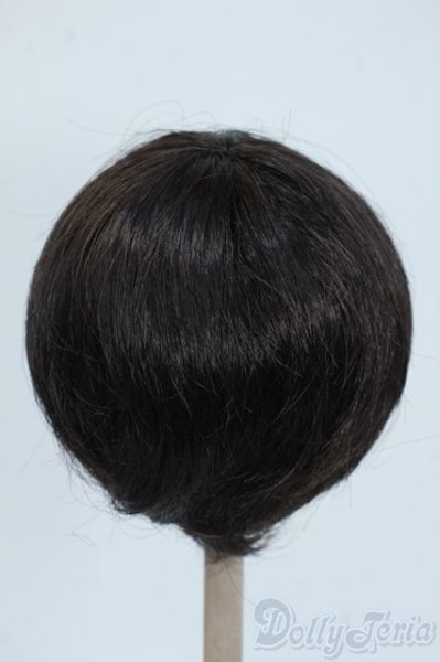 画像2: 8-9inch/ウィッグ Y-25-06-25-080-YD-ZY (2)