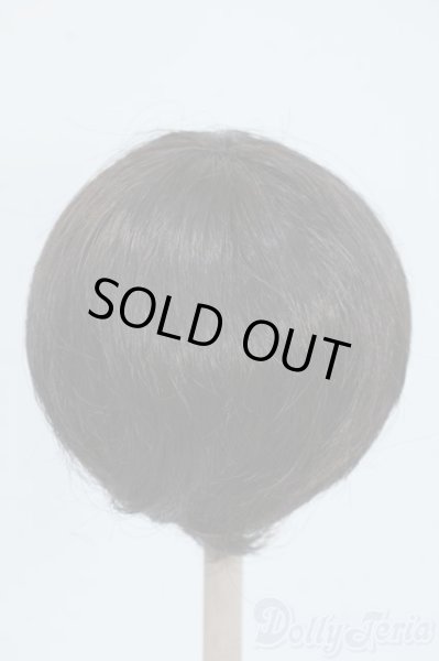 画像2: 8-9inch/ウィッグ Y-25-06-25-080-YD-ZY (2)