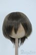 画像1: 8-9inch/ウィッグ Y-25-06-25-075-YD-ZY (1)