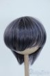 画像1: 8-9inch/ウィッグ Y-25-06-25-076-YD-ZY (1)