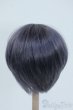 画像2: 8-9inch/ウィッグ Y-25-06-25-076-YD-ZY (2)