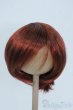 画像1: 9-10inch/ウィッグ Y-25-06-25-082-YD-ZY (1)